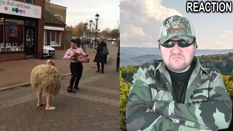 Ostrich Spotted On UK High Street REACTION!!! (BBT)
