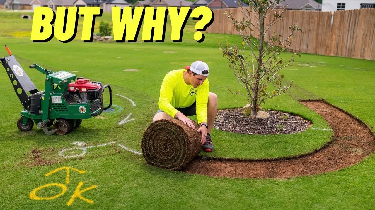 DESTROYING My Lawn to Make it BETTER