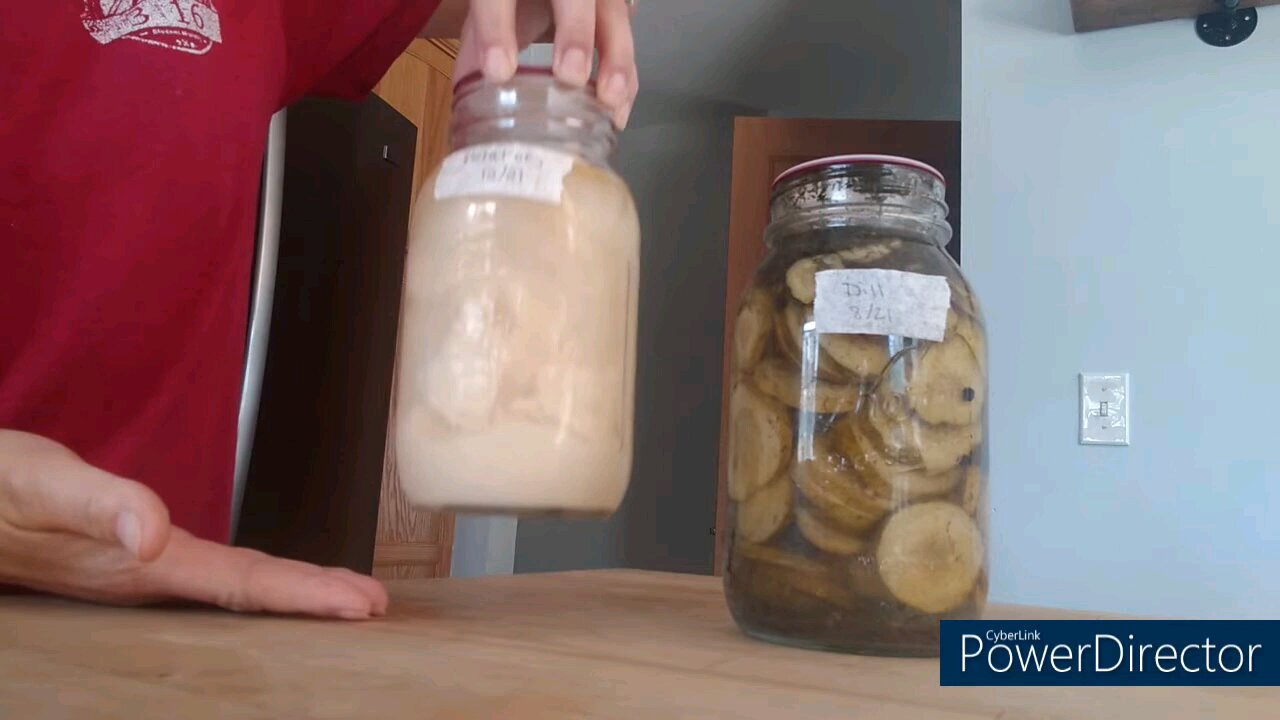 Harvest Guard Reusable Canning Lids: how to use; how to test seal; how to remove; how long they seal