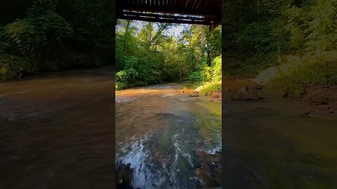 Meditate by the creek