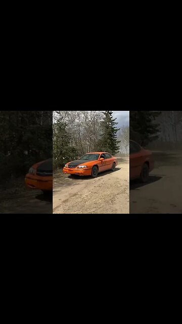 Tim and Austin revving there trucks #shorts