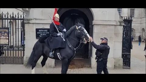 100 PLUS CYCLISTS GOING BY FREAKS OUT THE KINGS GUARDS HORSE #horseguardsparade