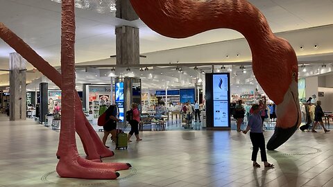 Tampa Airport Flamingo