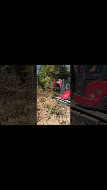 #shorts preview of new land clearing project