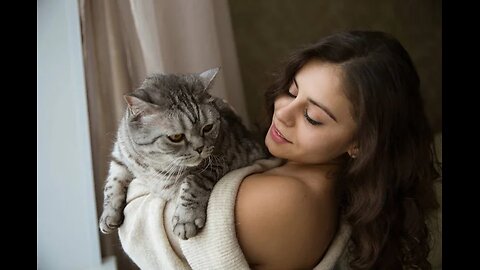 very funny cat videos #12