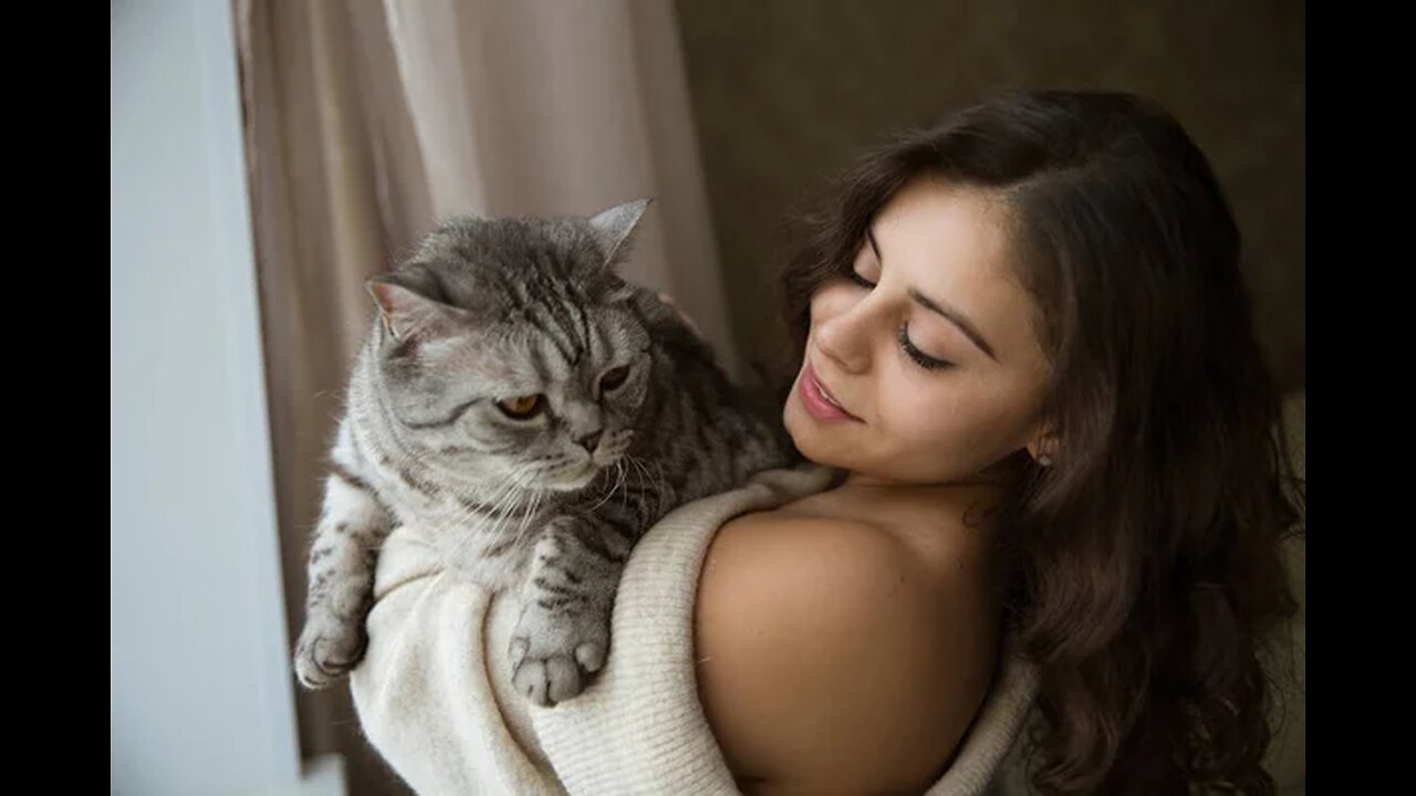 very funny cat videos #12