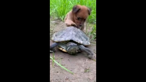 best friends#video#viral