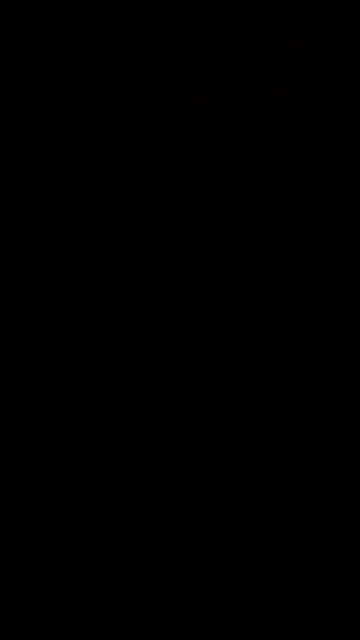 Anthropogenic climate change