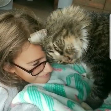 Cats are jerks...watch until the end