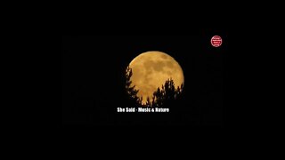 Relaxing music with piano and crickets sound (Preview)