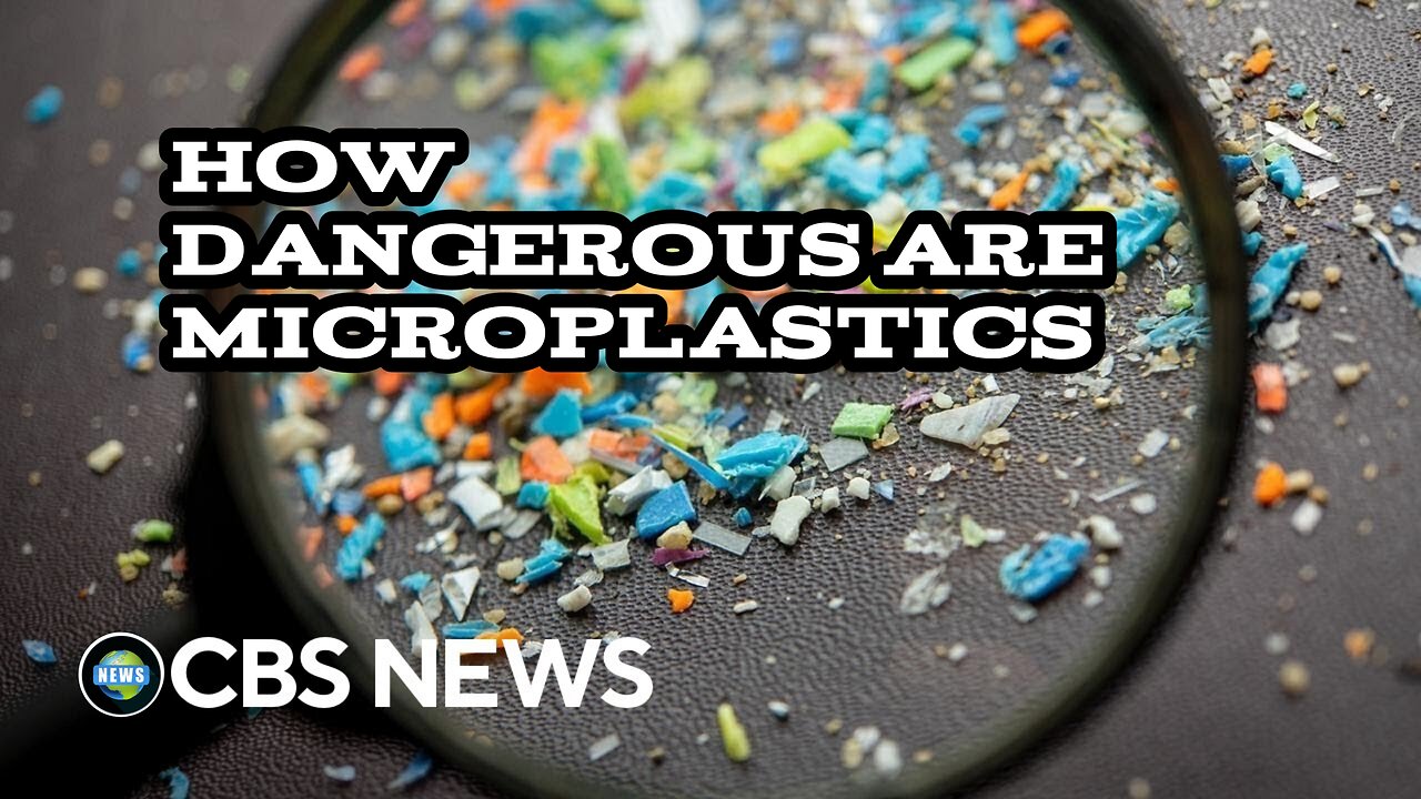 How dangerous are microplastics and how often do people ingest them? Danger