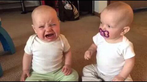 Twin baby girls fight over a pacifier