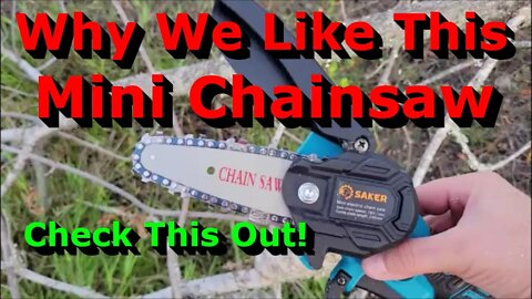 Why We Like This 4 Inch Mini Chainsaw - Check This Out!