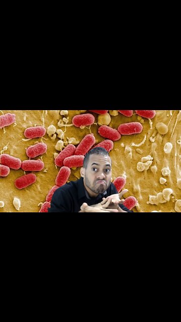 Quantos Átomos e Células Temos no Corpo Humano