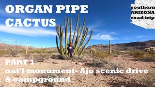 Arizona trip Ep6: Organ Pipe Cactus nat'l monument part1/2- Ajo drive