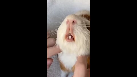 Yo ! Nice to meet you.