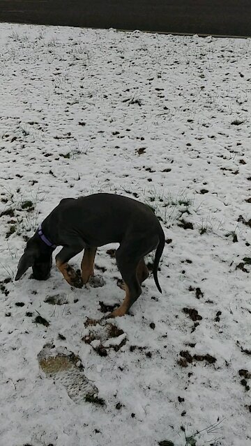 Visiting My Sister's