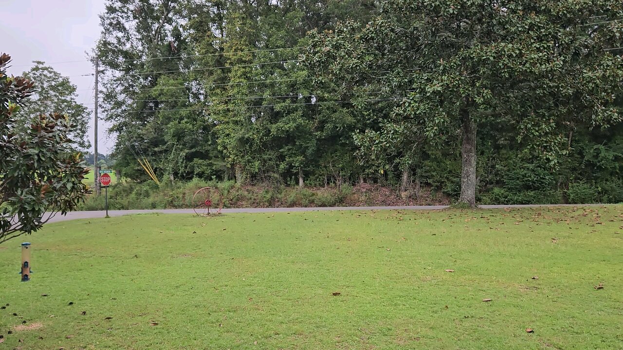 Knock the Dust 1st Daily short