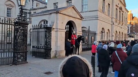 The kings tells tourist this is not your horse is it #horseguardsparade