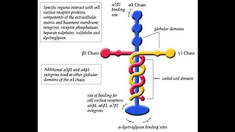 Why isn't this EVERYWHERE? Thank you Brad!!!