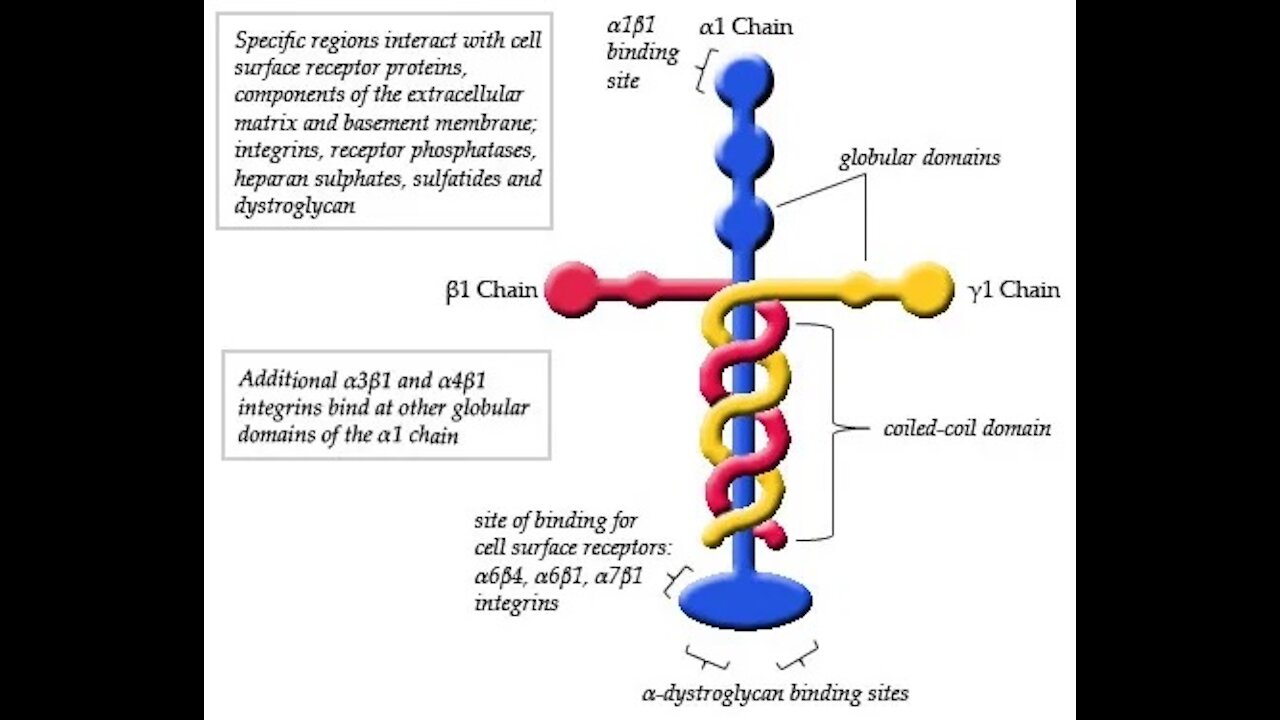 Why isn't this EVERYWHERE? Thank you Brad!!!