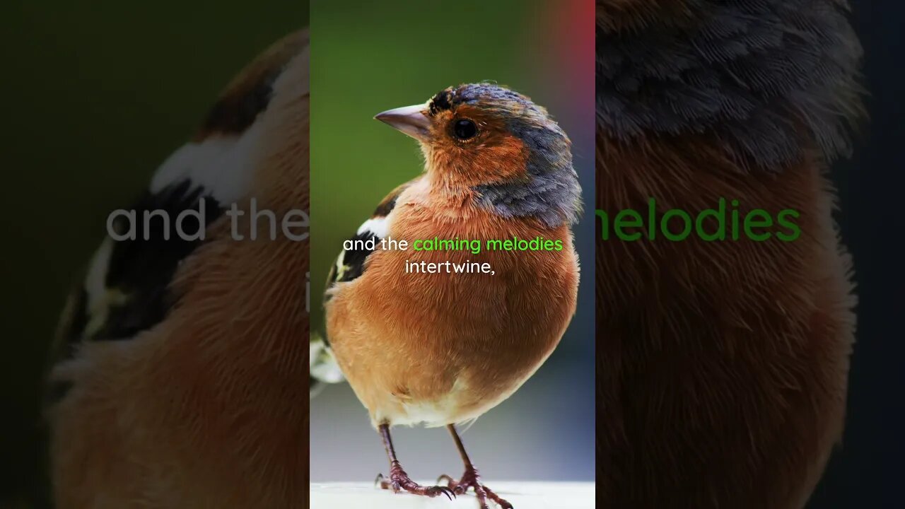 The gentle serenade of birdsong and the calming melodies | Relaxing Music #shorts #relaxingmusic