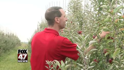 Farmer barred from market over gay marriage goes to court