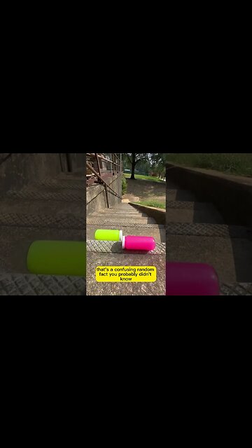 Random Facts #6