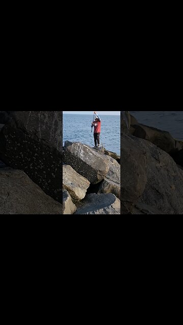 🐠Landing a HUGE Spanish Mackerel🐠!!!