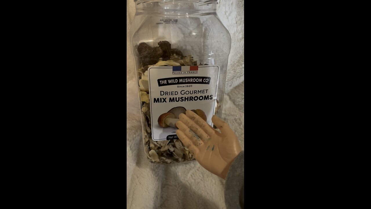 Monday Morning Mushrooms: SPH eats a dried wild mushrooms. #mushrooms #joerogan #funny #tinyhands