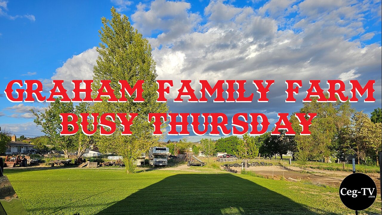 Graham Family Farm: Busy Thursday