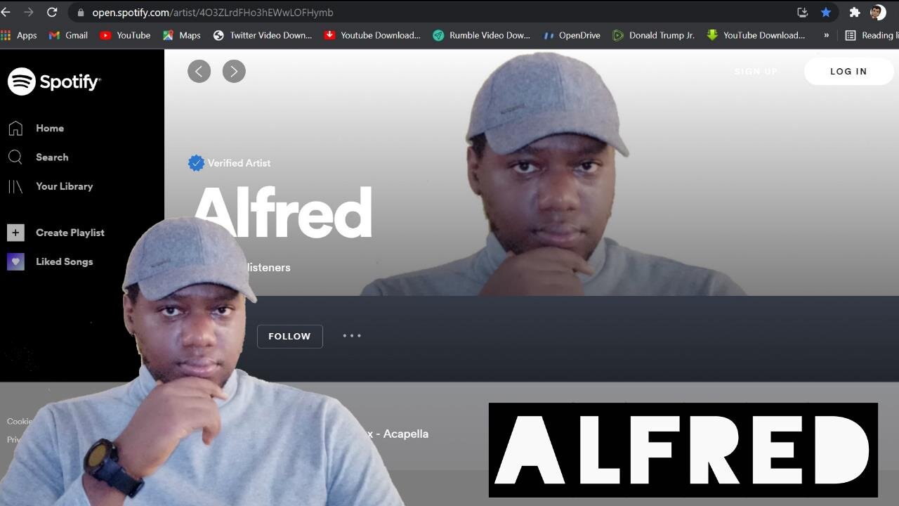Spotify Music Hides My Music From Search Results : Alfred Speaks