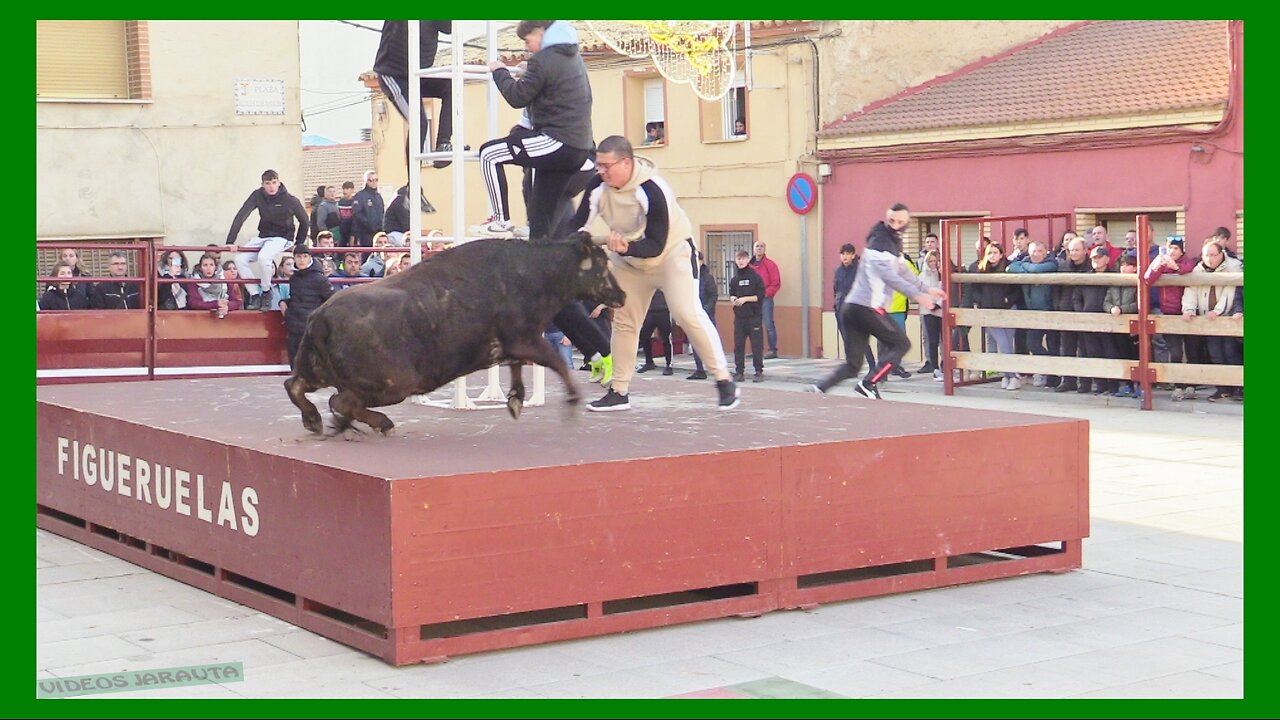 FIGUERUELAS ( ZARAGOZA ) TARDE VACAS CALLE ( DOMINGO 3 DICIEMBRE 2023 ) GANAD.HNOS.MARCEN