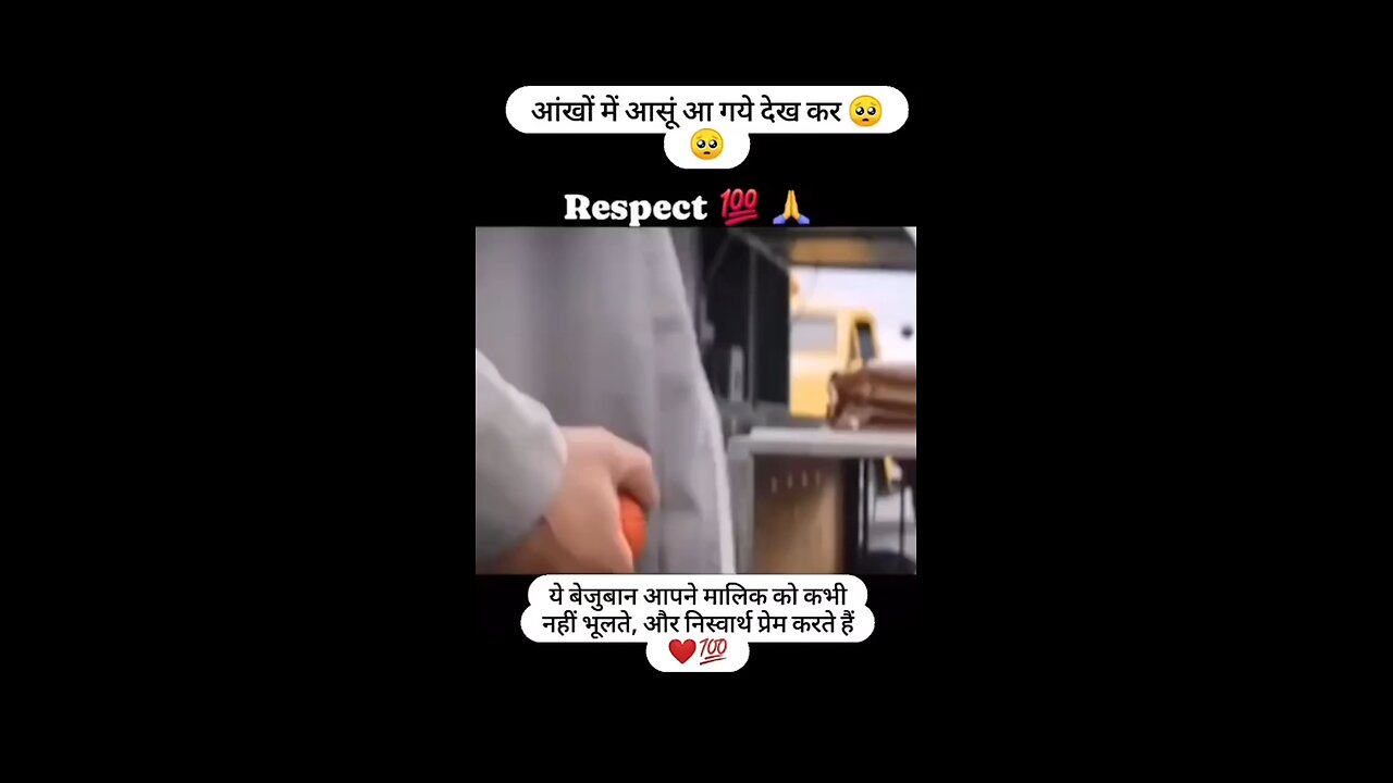 respect love care is all we need
