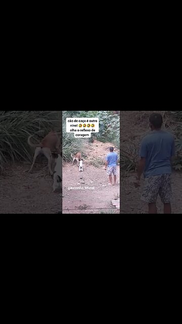 CARAMELO COM O SENTIDO ARANHA ATIVADO #shorts #viral #youtubeshorts