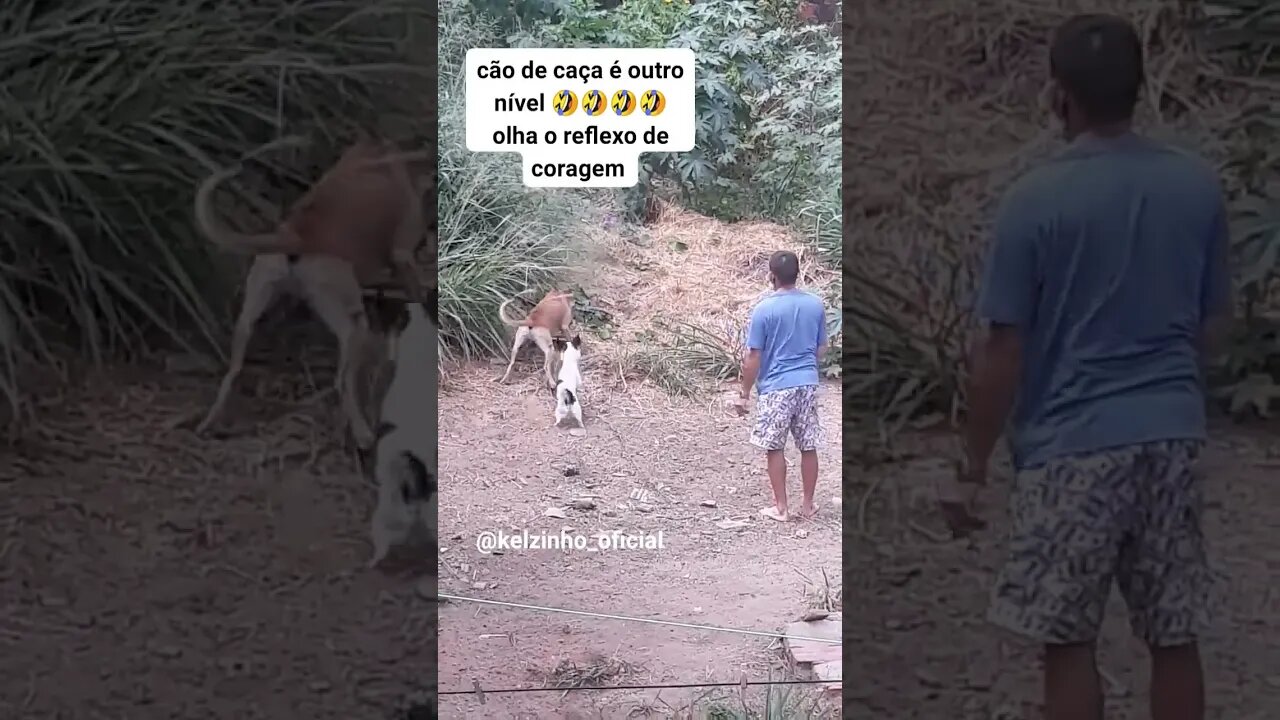 CARAMELO COM O SENTIDO ARANHA ATIVADO #shorts #viral #youtubeshorts