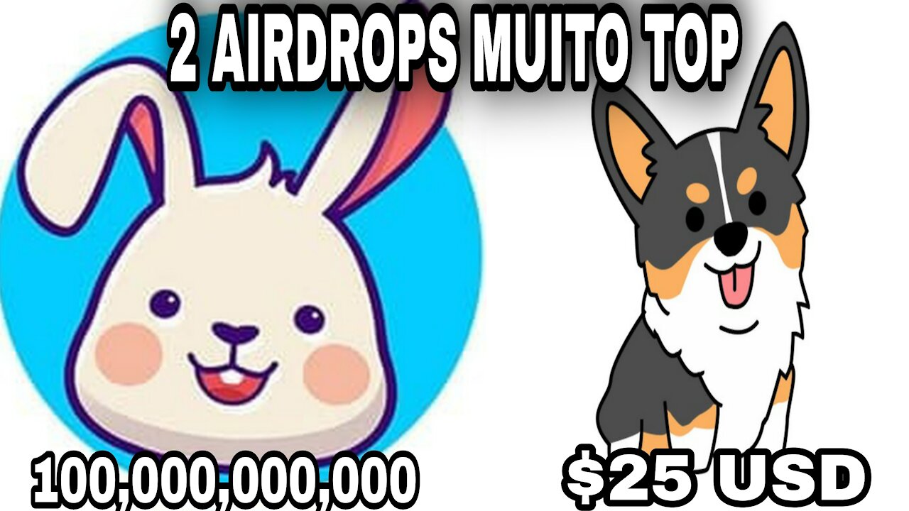 2 AIRDROPS Haretoken GANHE 100,000,000,000 tokens e Baby Corgi $25 USD MUITO TOP E FÁCIL DE FAZER