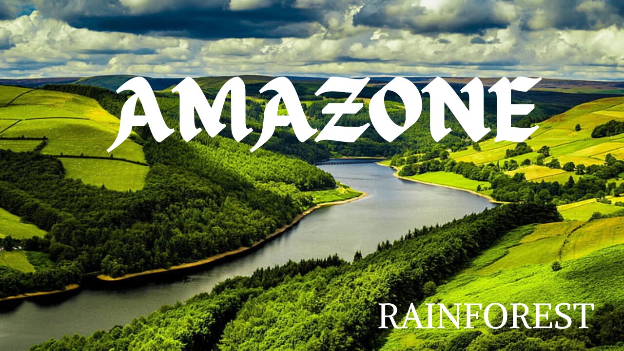 Amazon forst | Amazon Rainforest | Amazon Jungle | Amazon Wildlife | Amazon Birds and animals