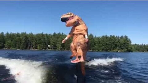 T-Rex pratica surf em um lago em New Hampshire