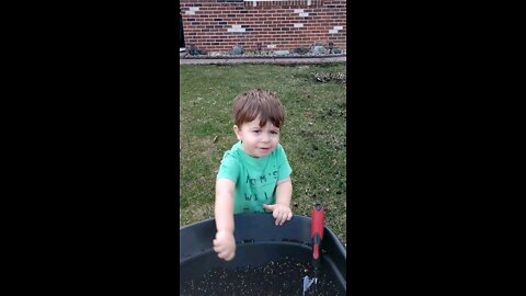 Spreading grass seed with a toddler