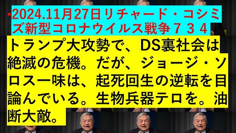 2024.11月27日リチャード・コシミズ新型コロナウイルス戦争７３４