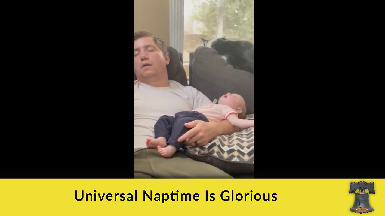 Universal Naptime Is Glorious