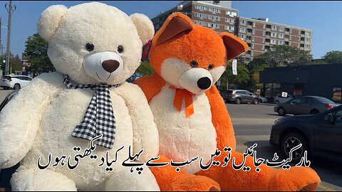 Mery pyary teddy bears ❤️❤️