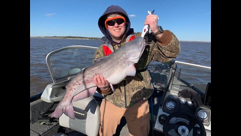Fishing with Bearded Hookers, 2019