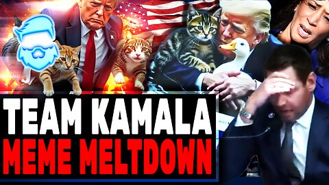 Donald Trump Cat Memes Cause WOKE MELTDOWN & Eric Swalwell CRIES Over It & Instantly Regrets It