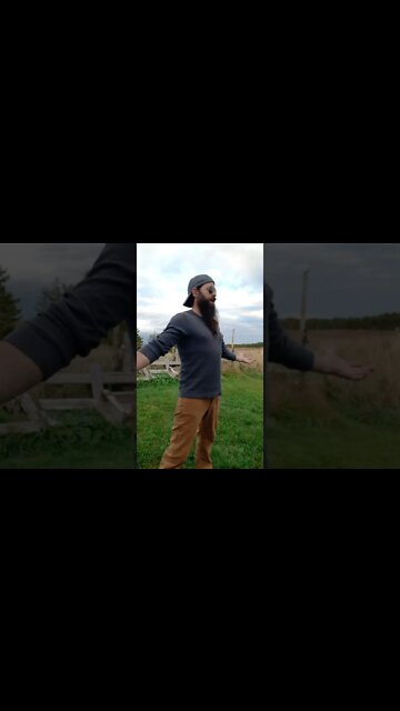 Just like the Pilgrams... #ohhighbud #strangedanimal #skitsbystrangedanimal #thanksgiving