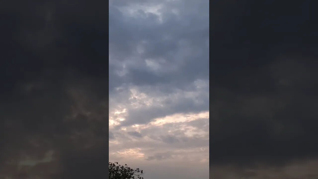 Beautiful fresh morning | La ilaha illallah wahdahu la sharika lahu Lahul-mulku wa lahul hamd