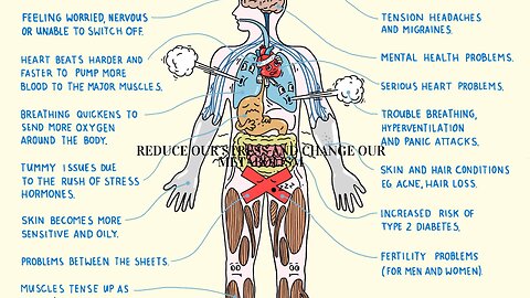 How it is Possible to Reduce our Stress and Change our Metabolism