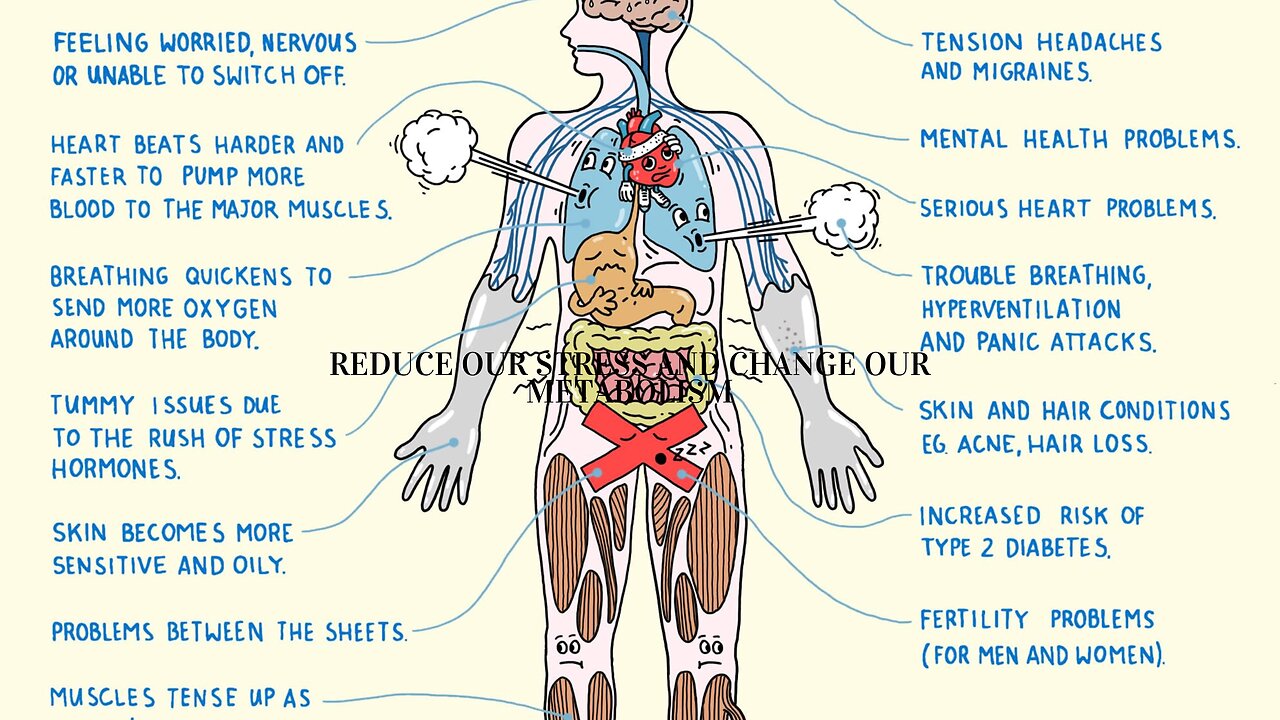 How it is Possible to Reduce our Stress and Change our Metabolism