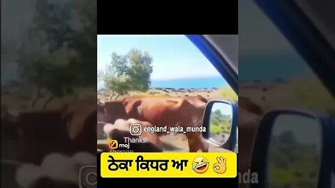 new funny video viral video Instagram reels 😅🤣😅😅